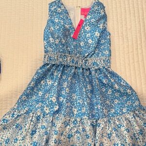 Lily Floral Blue and White taffeta Dress